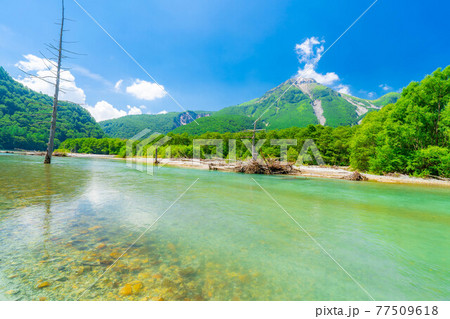 夏の上高地　梓川　【長野県】 77509618