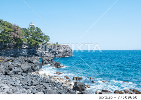 城ヶ崎海岸 城ヶ崎海岸 77509660