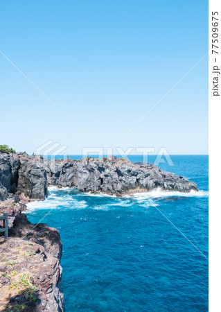 城ヶ崎海岸 77509675