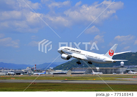 大阪国際空港　JAL　飛行機　離陸　スカイパーク 77510343
