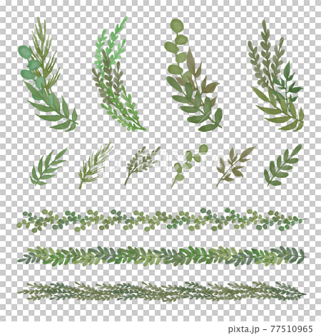 水彩風ボタニカルイラスト パーツセット 水彩風ボタニカルイラスト パーツセット 77510965