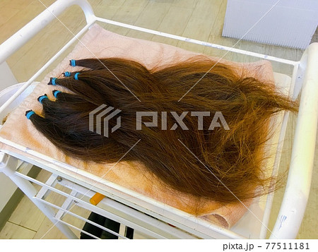 ヘアドネーション用にカットされた長い茶髪 ヘアドネーション用にカットされた長い茶髪 77511181