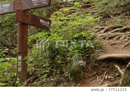 雷電山(らいでんやま)山頂を示す案内標識【東京都青梅市、青梅丘陵ハイキングコース】 77511223