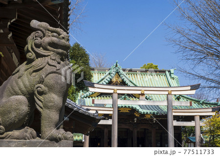 【東京都隅田区】牛嶋神社 77511733