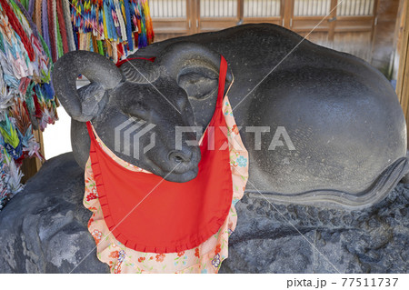 【東京都隅田区】牛嶋神社の撫牛 77511737