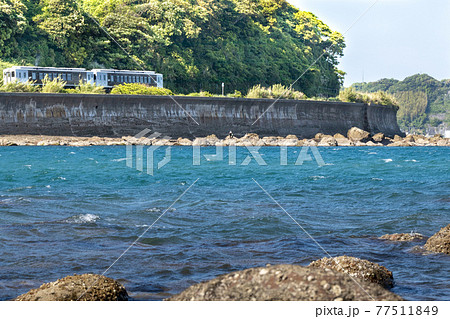 新緑の山と澄み透る海の海岸線を走る日南線特急「海幸山幸」 77511849