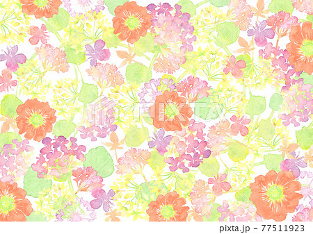 水彩で描いたカラフルな花の背景 77511923