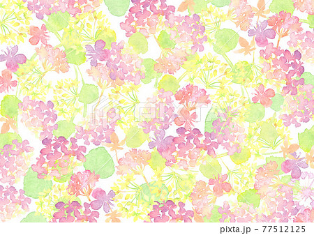 水彩で描いた淡い花の背景 77512125