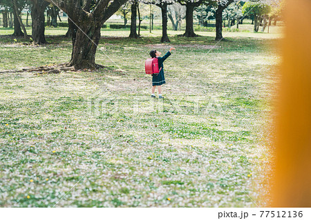 小学校入学 77512136