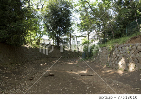 世田谷城阯公園 77513010