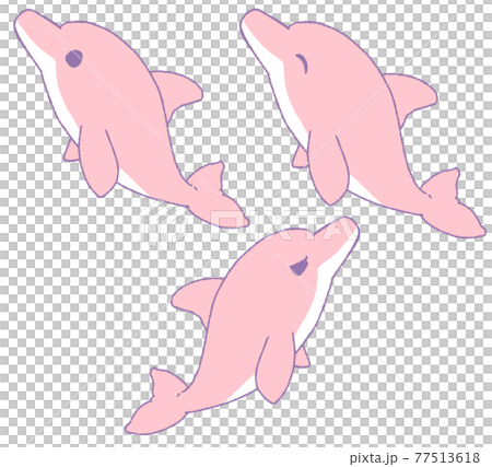 海豚的3種面部表情（紅色） 77513618