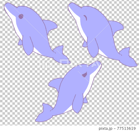 海豚的3種面部表情（藍色） 77513619