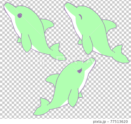 海豚的3種面部表情（綠色） 77513620