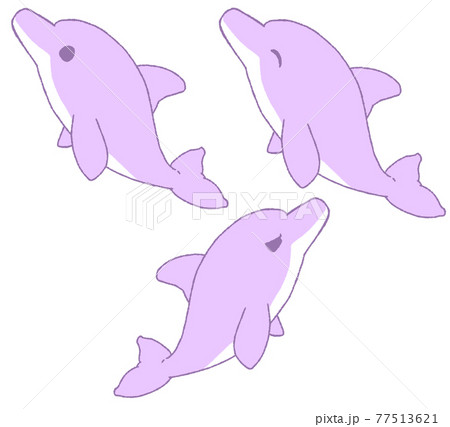 イルカの表情3種 紫色 のイラスト素材