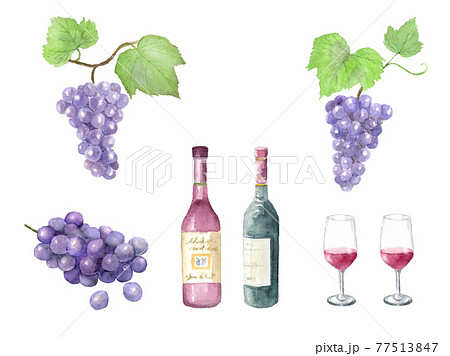 ぶどうとワインの水彩イラストセットのイラスト素材