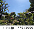 京都　禅定寺の庭 77513959
