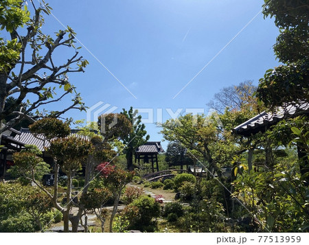 京都　禅定寺の庭 77513959