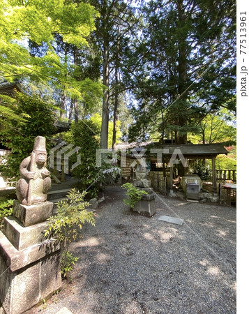 京都　猿丸神社 77513961