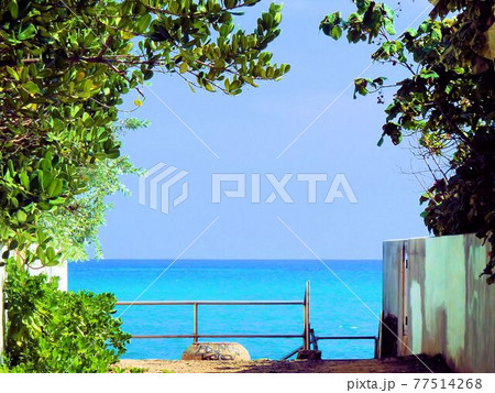 Hawaii～ハワイラニカイビーチまであと少し 77514268