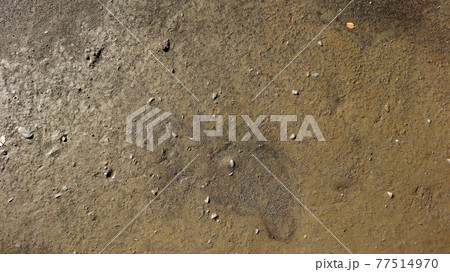 雨上がりの小石のあるグラウンド 77514970