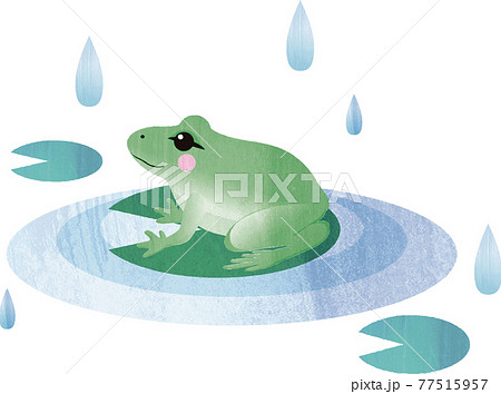 梅雨 夏 カエル かえる 蛙 水彩 イラスト素材のイラスト素材