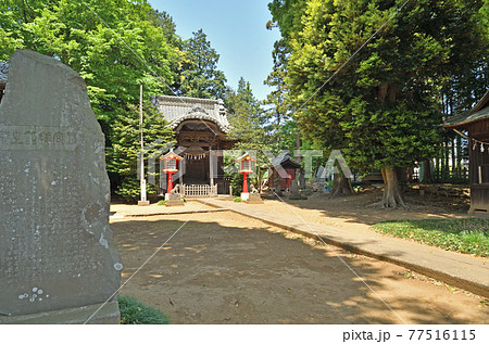 さいたま市内散歩：鷲神社 77516115