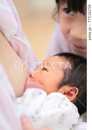 新生児に授乳するママをみる姉 77516256