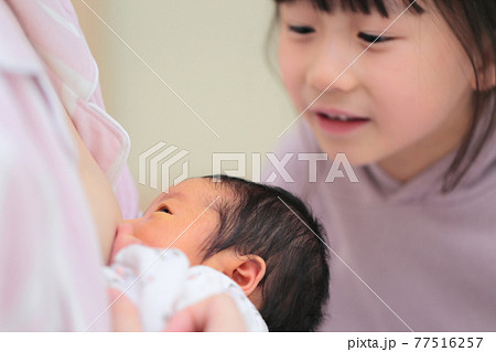 新生児に授乳するママをみる姉 77516257