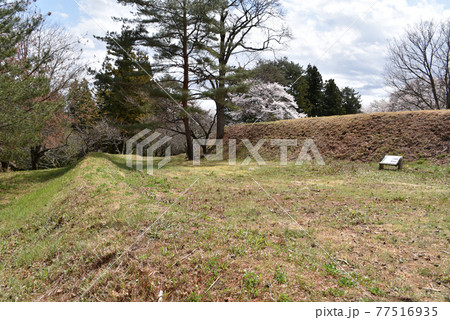 谷戸城跡　帯郭と二の郭の土塁 77516935