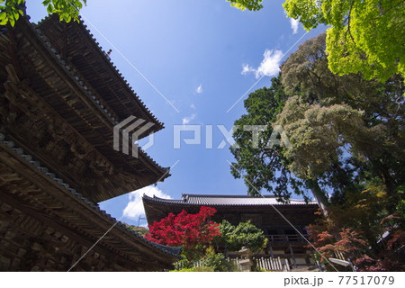 西国三十三所観音霊場　26番札所　一乗寺の本堂と三重塔 77517079