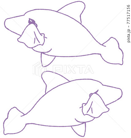 泣くイルカ2種（白色） 77517156