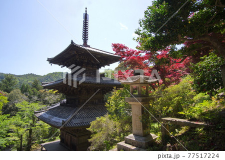 西国三十三所観音霊場　26番札所　一乗寺の三重塔 77517224