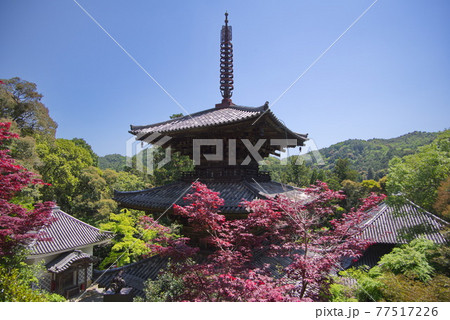 西国三十三所観音霊場　26番札所　一乗寺の三重塔 77517226