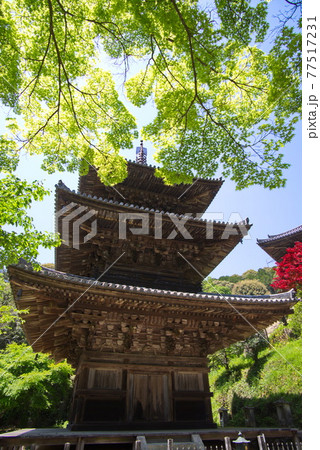 西国三十三所観音霊場　26番札所　一乗寺の三重塔 77517231
