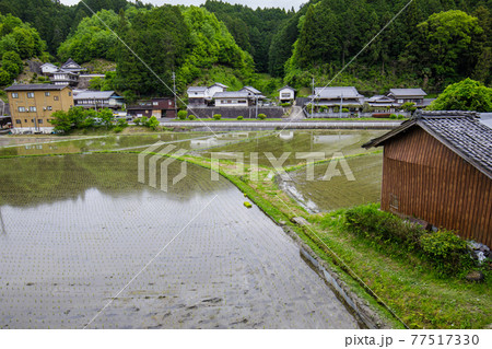 柳生の里の田園風景 77517330