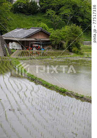 柳生の里の田園風景 77517336