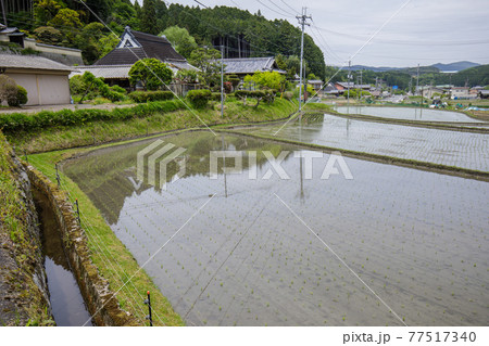 柳生の里の田園風景 77517340