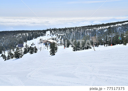 横手山･渋峠スキー場／渋峠スキー場【2021.3】 77517375