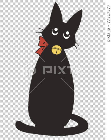 Black cat tilting its neck 77517377
