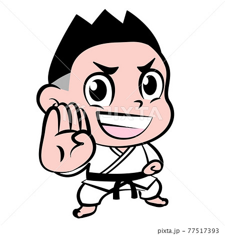 空手 カラテ 格闘技 武道 イラスト素材のイラスト素材