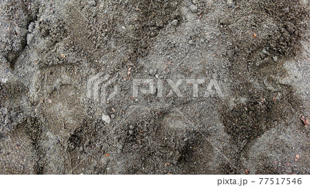 砂場の足跡や轍 砂場の足跡や轍 77517546