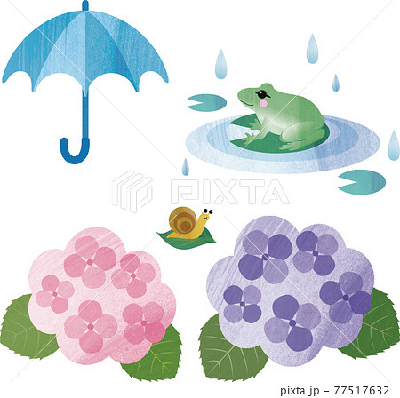 梅雨 紫陽花 あじさい アジサイ かえる 花 自然 水彩 イラスト素材 セットのイラスト素材