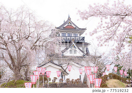桜に囲まれた天守閣　秋田県横手市 77519232
