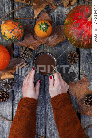 Female hands holding a mug of hot chocolate against autumn background of pumpkin, fall colorful leaves, fall composition, Thanksgiving, concept. Top view. Female hands holding a mug of hot chocolate against autumn background of pumpkin, fall colorful leaves, fall composition, Thanksgiving, concept. Top view. 77519447