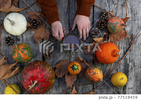Female hands holding a mug of hot chocolate against autumn background of pumpkin, fall colorful leaves, fall composition, Thanksgiving, concept. Top view. Female hands holding a mug of hot chocolate against autumn background of pumpkin, fall colorful leaves, fall composition, Thanksgiving, concept. Top view. 77519459