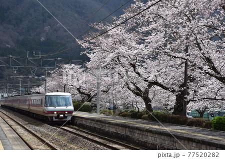 伯備線木野山駅の桜 77520282