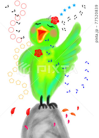 鳥の一羽ワンマンショーの手描きイラスト。 77520839