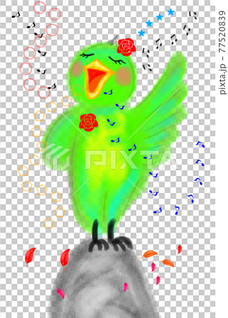 鳥の一羽ワンマンショーの手描きイラスト。 77520839