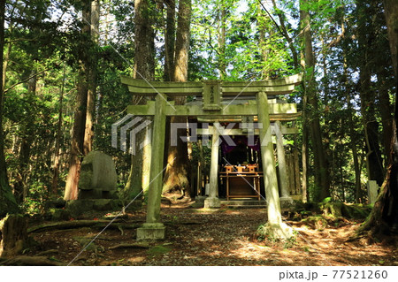 春の首塚大明神 77521260