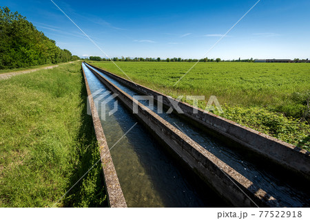 Two Small Concrete Irrigation Canals in the Padan Plain - Lombardy Italy 77522918